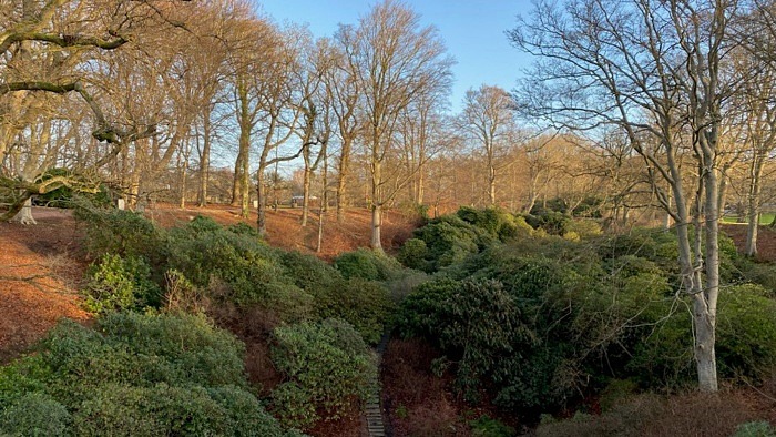 Vinterarbete i Sofieros slottsträdgård