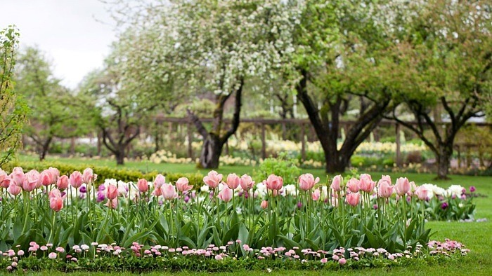 Sofieros öppning – ett säkert vårtecken