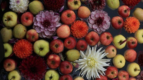 Inträde, guidning och fika – Berättelsen om Sofiero