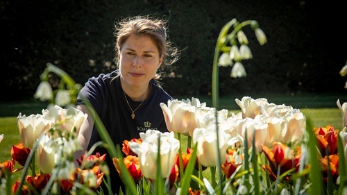 Vårflor – Guidning