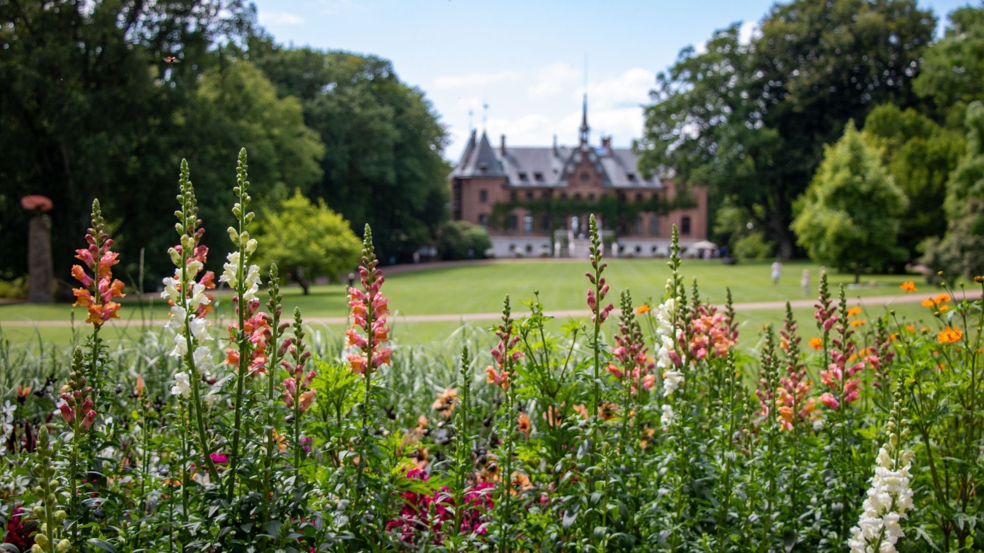 Sofiero Entré – Sommar